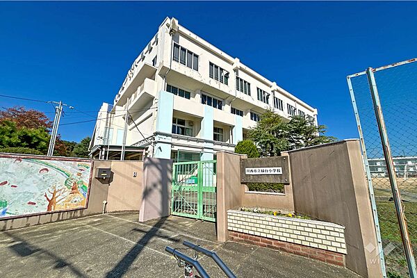 緑台小学校[公立]の外観