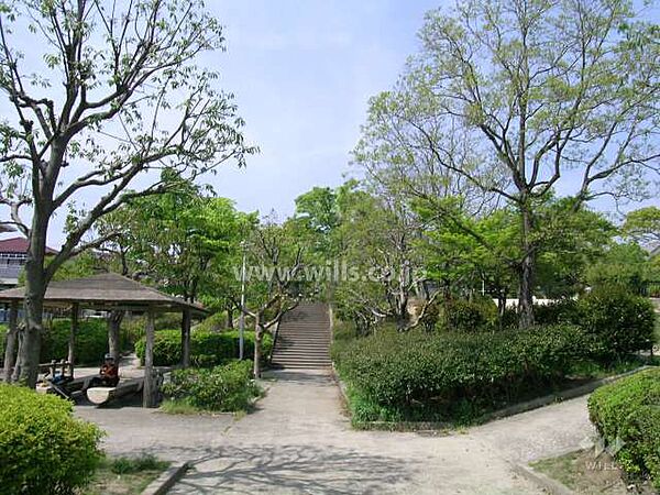 中央公園の外観