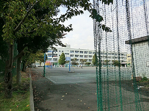 横浜市立大綱小学校（330m）
