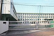 白鳥小学校 347m