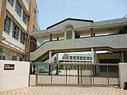 日比野中学校 1137m