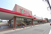 フィール花の木店 469m