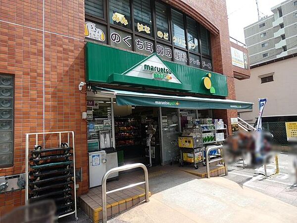 マルエツプチ本所四丁目店 徒歩7分。 540m