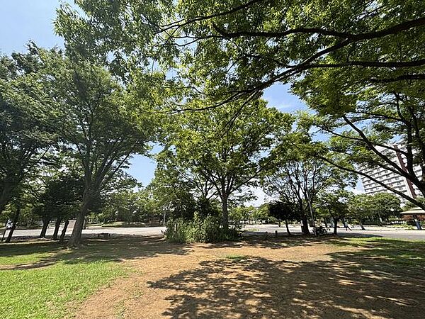 新小岩公園 徒歩16分。 1240m