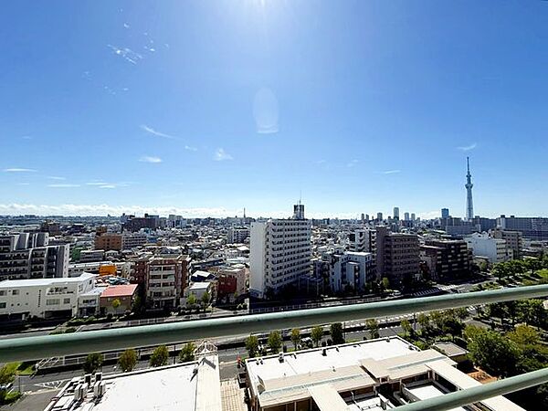 【眺望】開放的な眺望。バルコニーから東京スカイツリーが望めます。※気象条件によってその限りではなく、将来にわたって眺望を保証するものではありません。