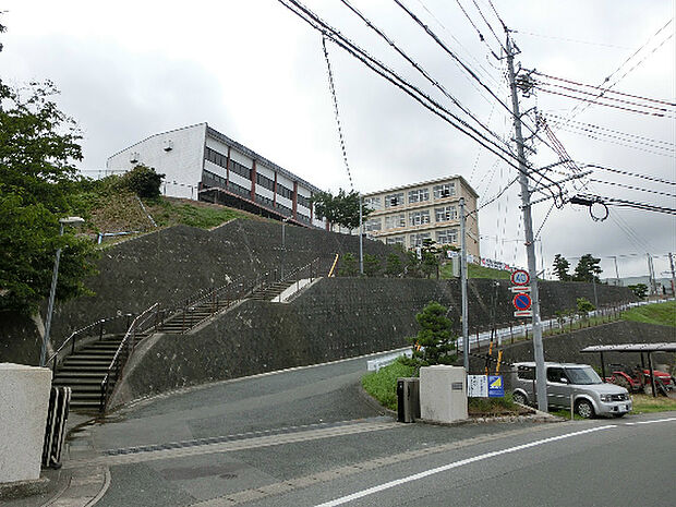 浜松市立入野中学校（493m）