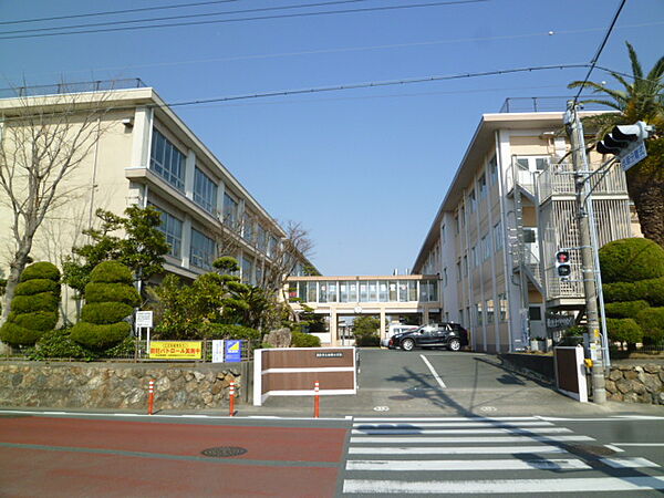 浜松市立白脇小学校（923m）