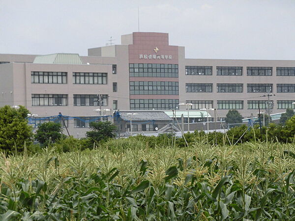 私立浜松啓陽高校（604m）
