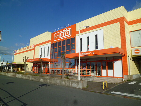 ザ・ビッグ 浜松葵町店（424m）