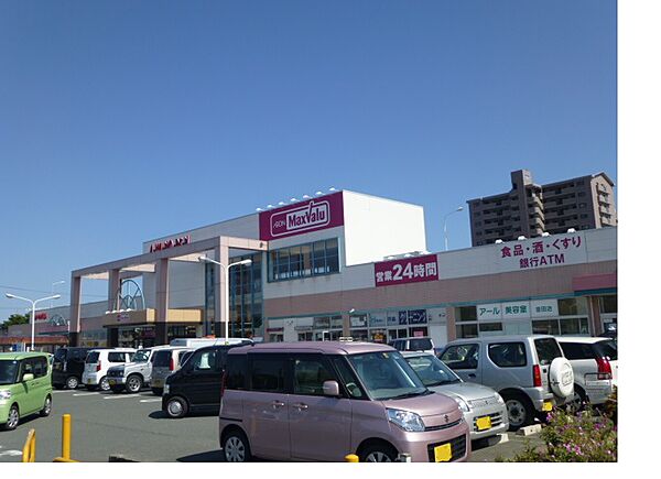 マックスバリュ 豊田店（1328m）