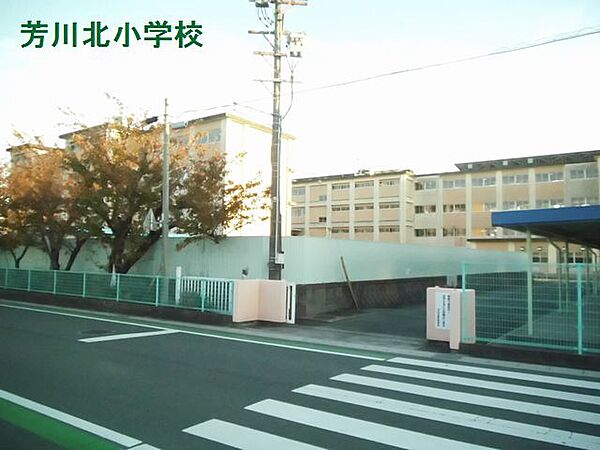 浜松市立芳川北小学校（564m）