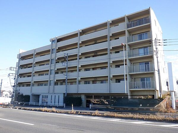 外観：311002303177