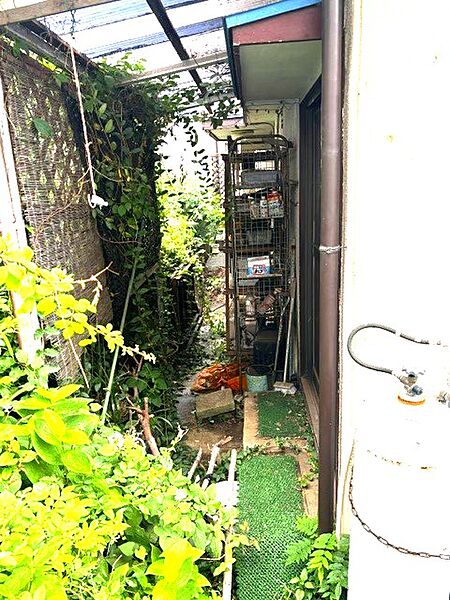 北側からの撮影です。北側にも緑が育っており、日当たりは全体的に良さそうです