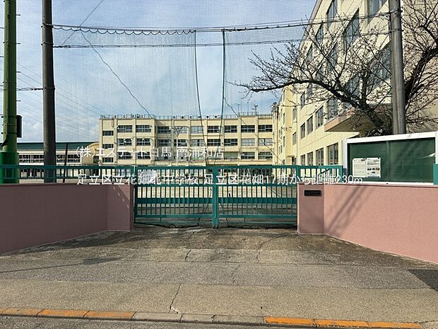 足立区立花畑北中学校（230m）