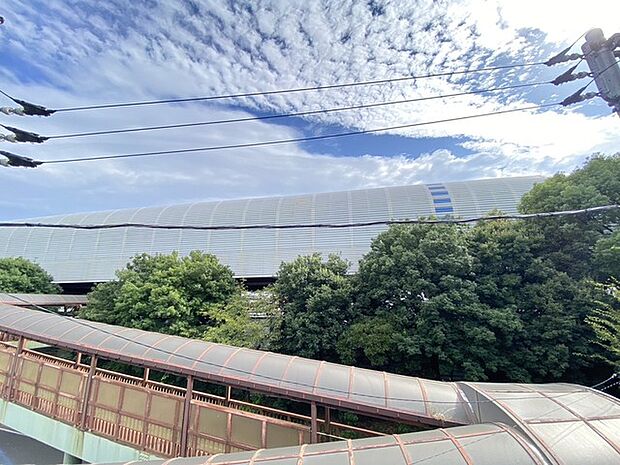 住戸からの眺望写真