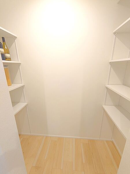 その他内観