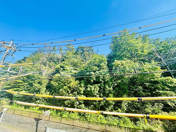 住戸からの眺望写真