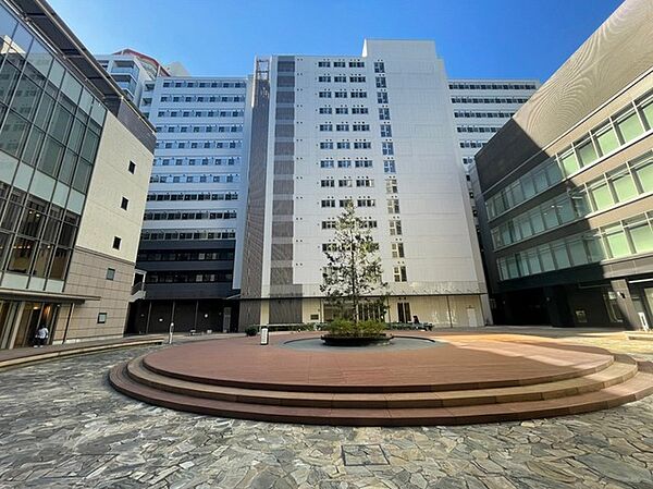 外観：311002222272