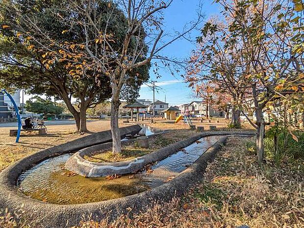 せせらぎ公園（20m）