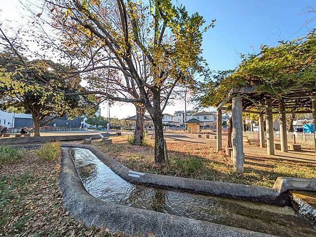 せせらぎ公園 目の前の公園（10m）