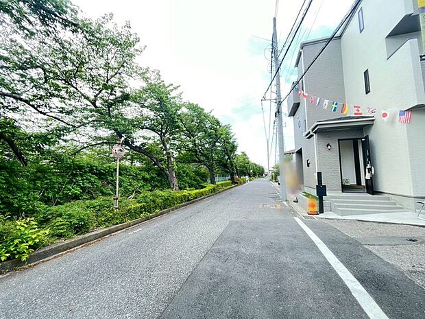 前面道路含む現地写真
