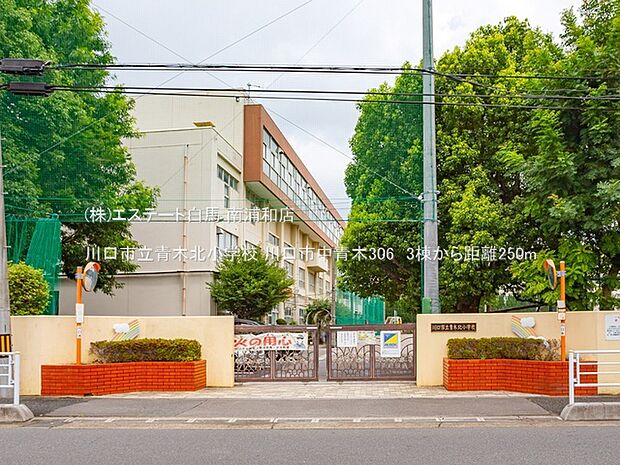 川口市立青木北小学校（250m）
