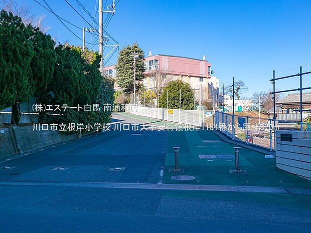 川口市立根岸小学校(870m)