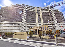 シーズガーデングリーンパティオ