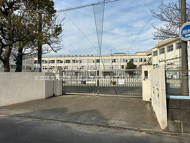 足立区立桜花小学校（700m）