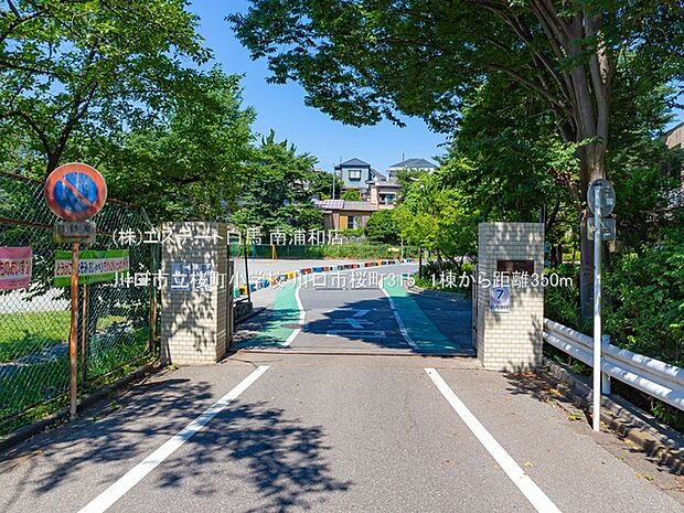 川口市立桜町小学校(350m)