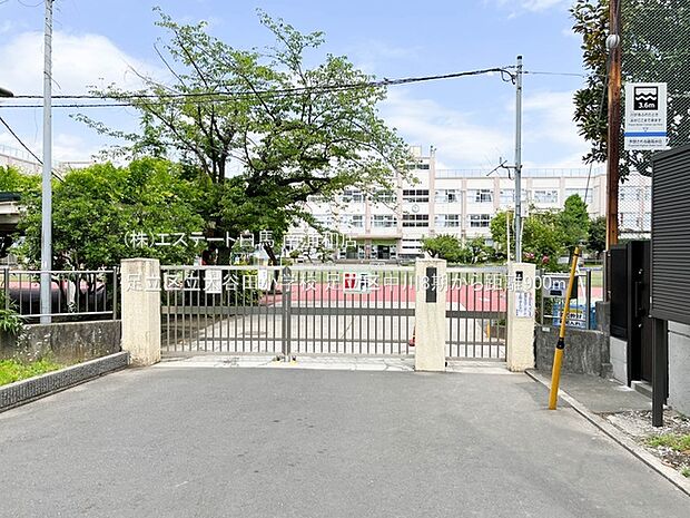 足立区立大谷田小学校(900m)