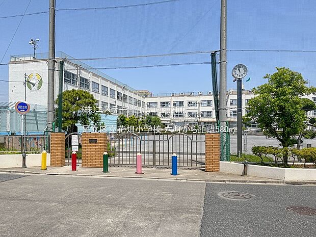 足立区立花畑小学校（580m）