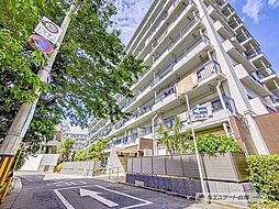 ハイストンハイツ