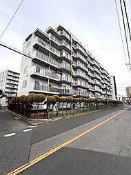 エバーグリーン川口