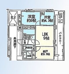パテラ川口 2SLDKの間取図画像