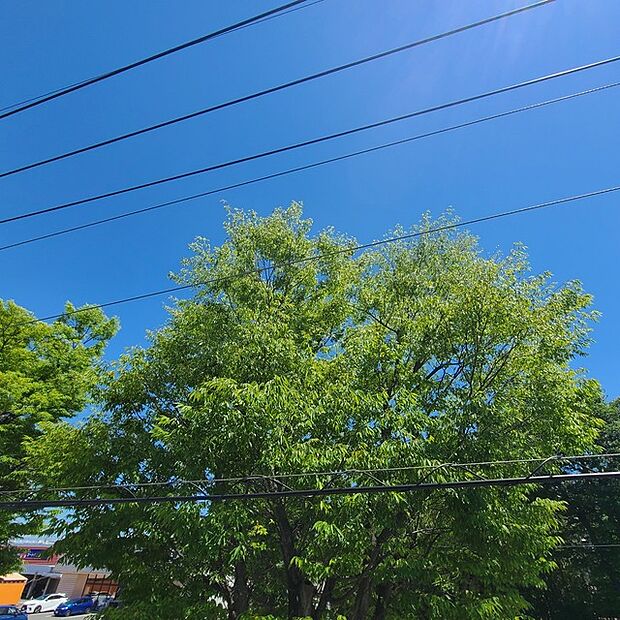 住戸からの眺望写真
