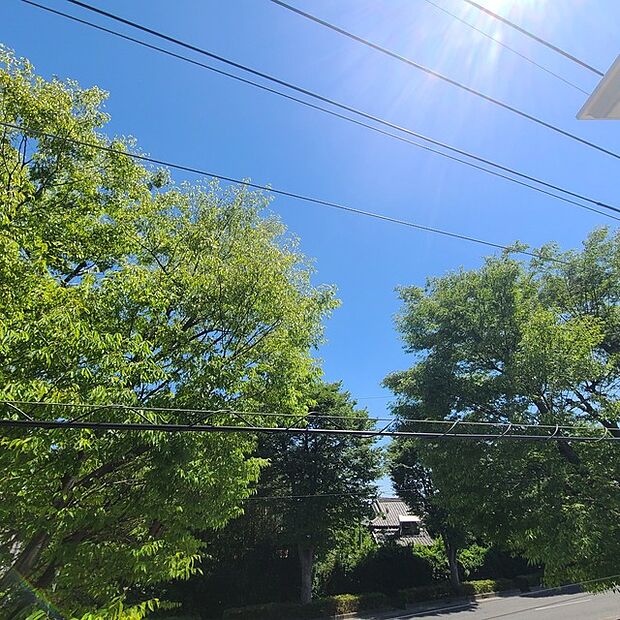 住戸からの眺望写真