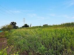 埼玉県さいたま市緑区大字中野田