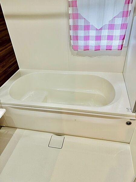 半身浴もゆっくり楽しめる浴槽。