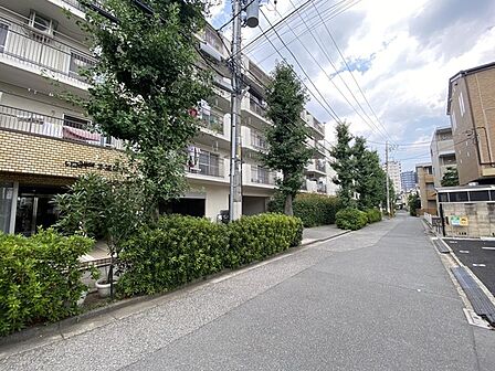街路樹の豊かな緑が穏やかな暮らしを予感させる、落ち着いた佇まいの住環境です。