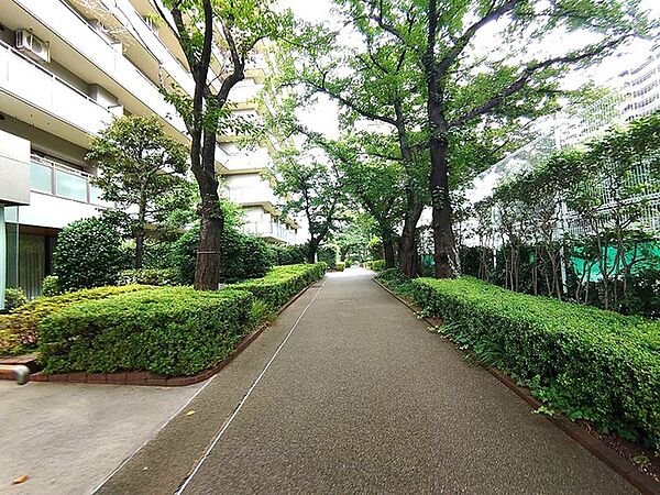 豊かな緑に囲まれ、季節の移ろいを感じながら穏やかな時間を過ごせる住環境が整っています