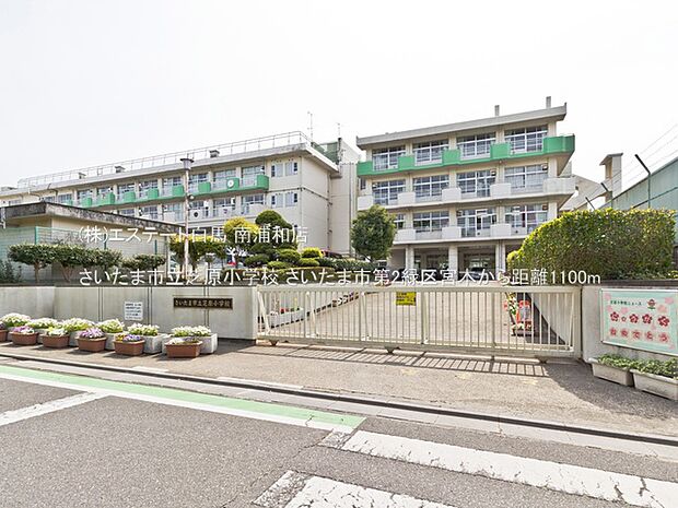 さいたま市立芝原小学校(1100m)