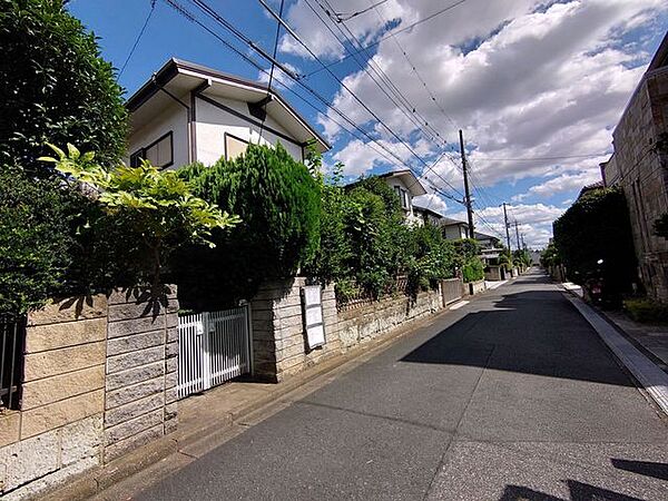 前面道路含む現地写真(古屋あり)
