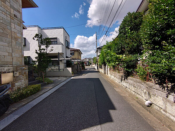 前面道路含む現地写真(古屋あり)