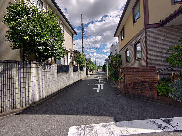 前面道路含む現地写真(古屋あり)