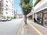 外観：前面道路含む現地写真 