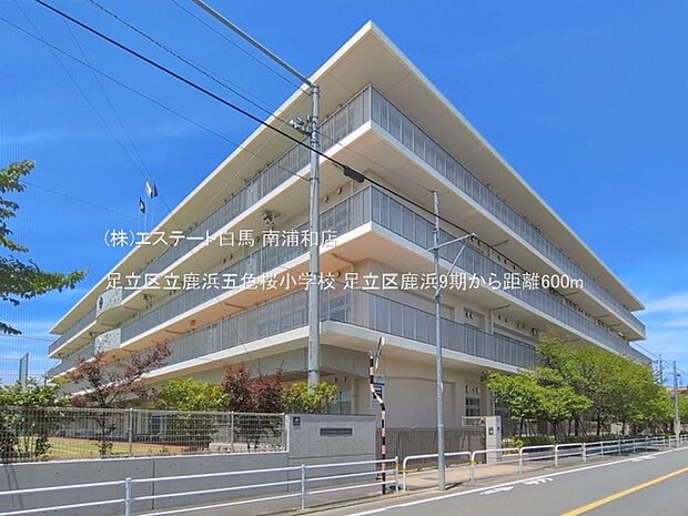 足立区立鹿浜五色桜小学校(600m)