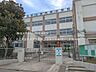 周辺：足立区立保木間小学校（350m）
