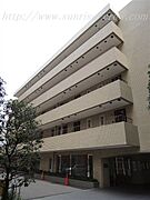 シャトレ代官山アネックス 5階 築41年7ヶ月の賃貸物件
