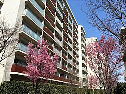 東急田園都市線 三軒茶屋駅 徒歩13分の賃貸マンション